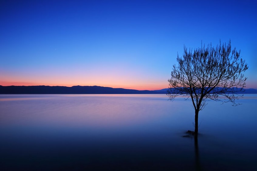 Daily tour in the deepest lake of Balkans-Ohrid   - Small group