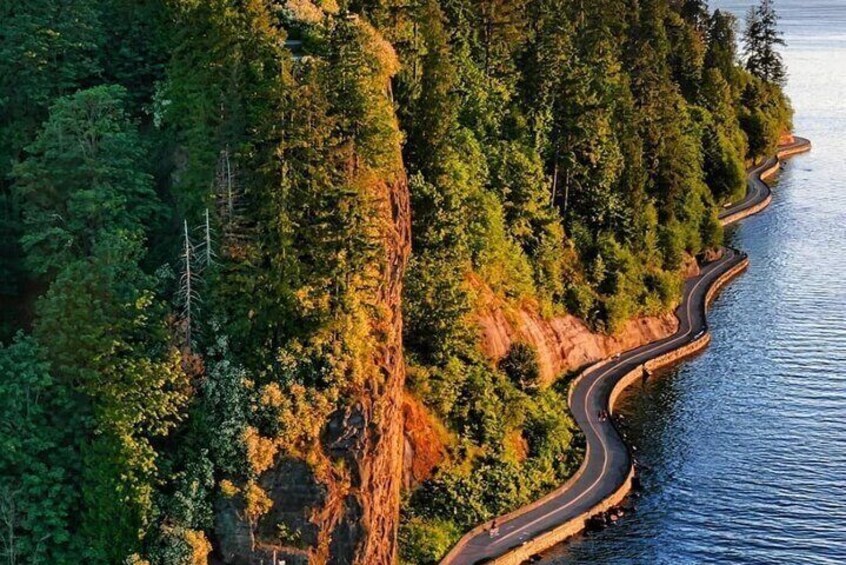Explore Stanley Park on Electric Scooters