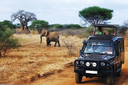 4 Day Kruger and Panorama Safari from Johannesburg