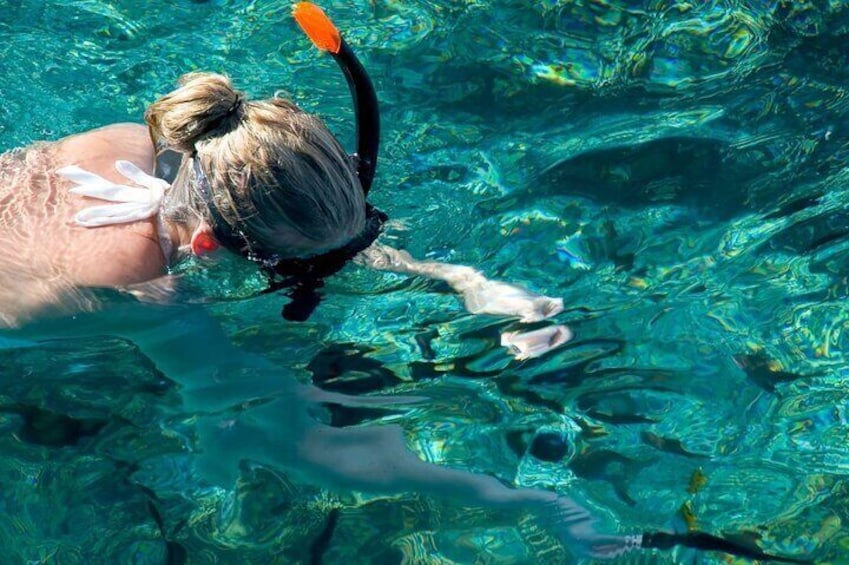 Explore Golfo Aranci with Snorkeling Activity in Cala Moresca