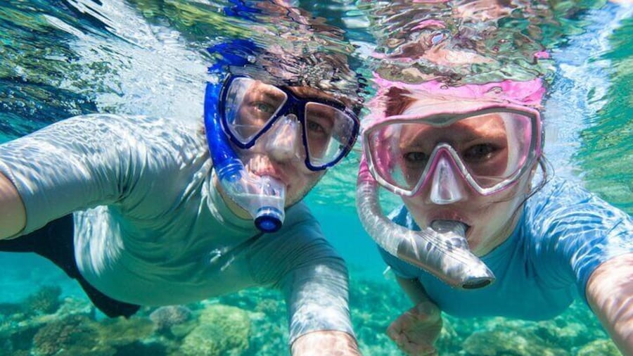 Explore Golfo Aranci with Snorkeling Activity in Cala Moresca