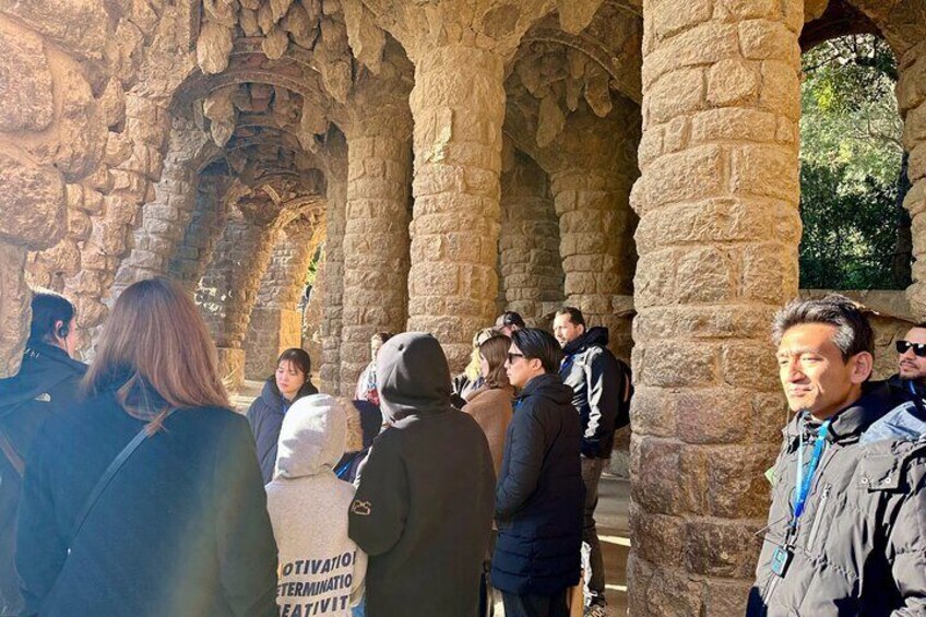 Park Guell Guided Tour