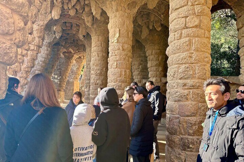 Park Guell Guided Tour