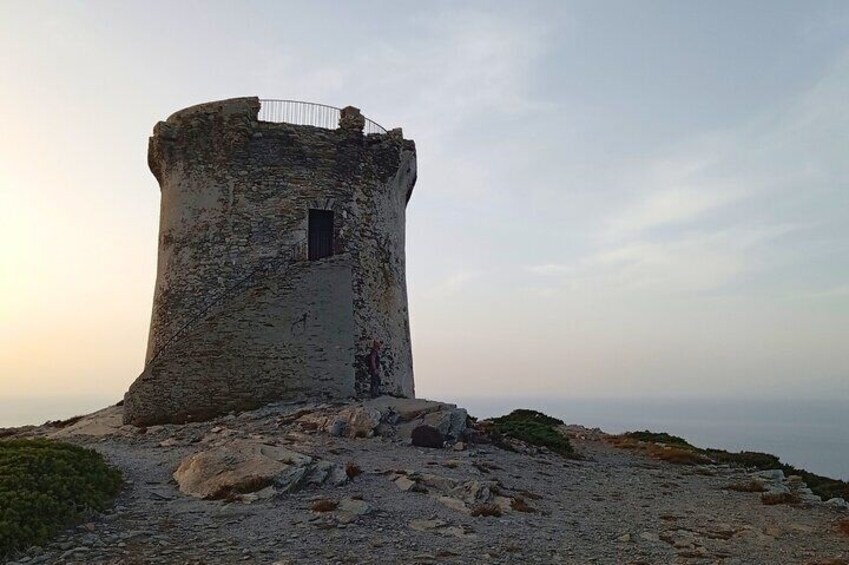Stintino Hike and Tasting Experience