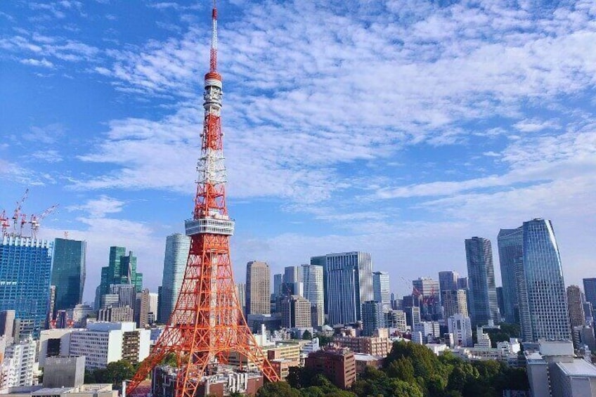 Tokyo Highlight Private Tour by Car with English Speaking Driver