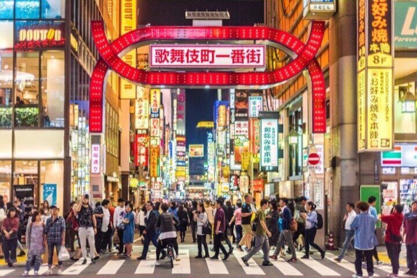 Tokyo Highlight Private Tour by Car with English Speaking Driver