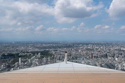 Tokyo Magic: 1-Day Private Van Tour with Hotel Pick-Up