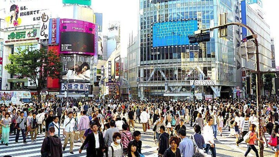 Tokyo Highlight Private Tour by Car with English Speaking Driver