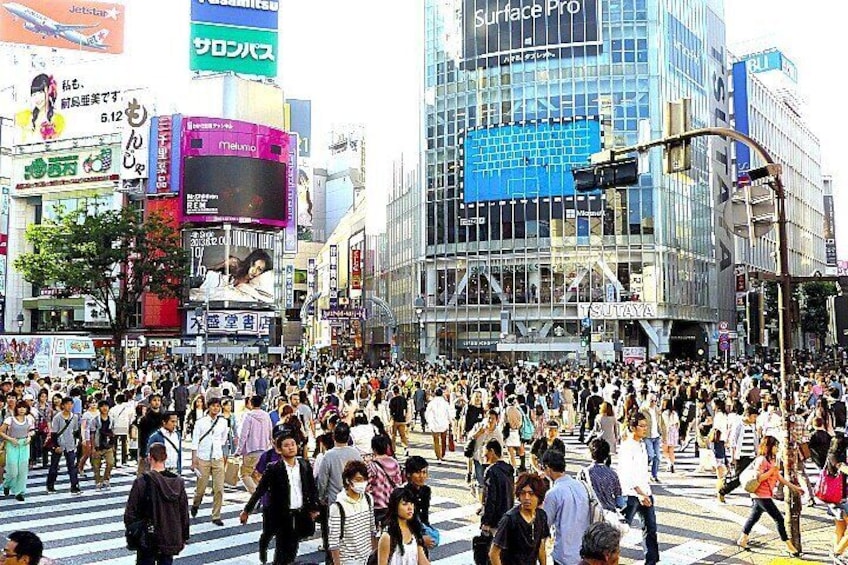 Tokyo Highlight Private Tour by Car with English Speaking Driver 