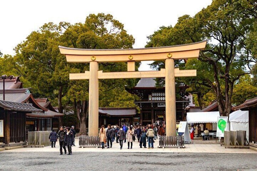 Tokyo Highlight Private Tour by Car with English Speaking Driver