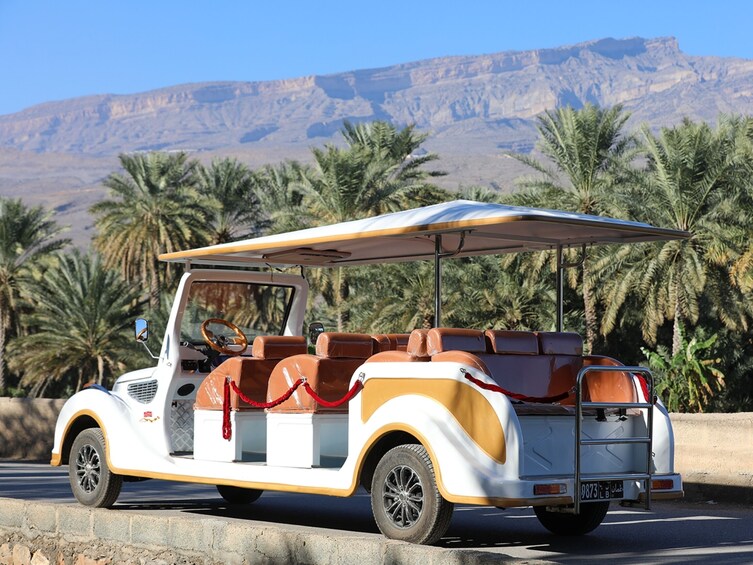Al Hamra Cart Tour
