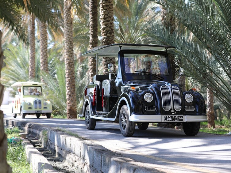 Al Hamra Cart Tour