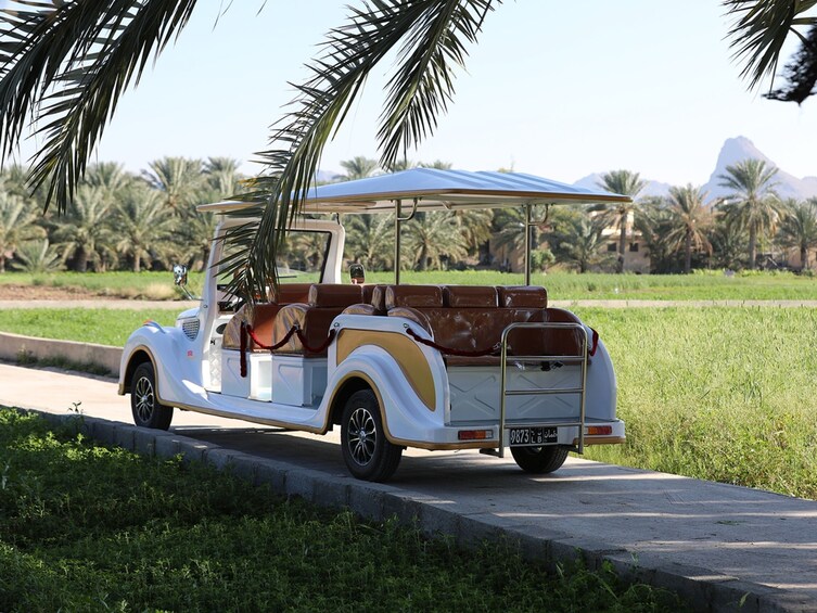 Al Hamra Cart Tour