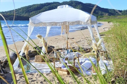 Experience a luxurious and unique Beach Picnic near Tamarindo