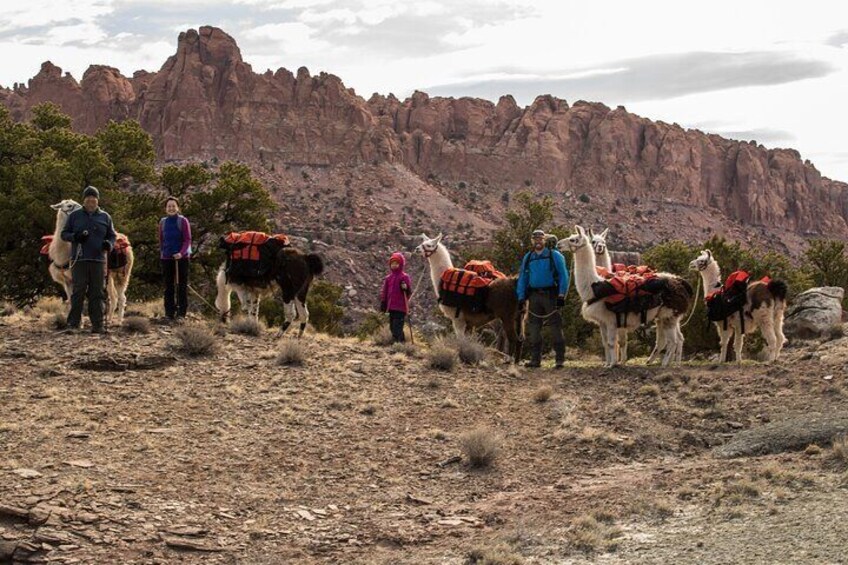 1-Hour Llama Hike Family Friendly and Fun