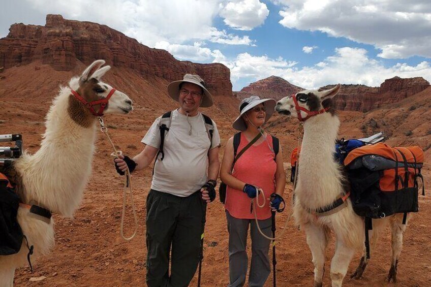 1-Hour Llama Hike Family Friendly and Fun