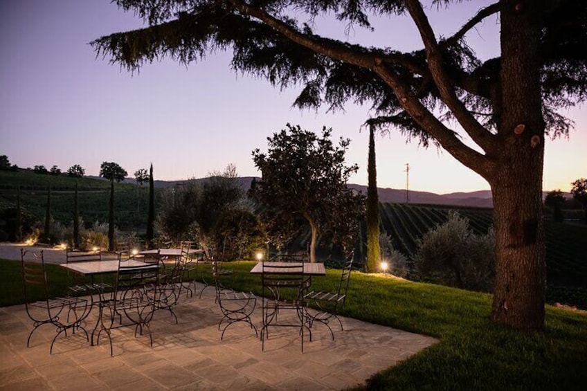 Private Plus Montalcino Wine Tasting in Paradise