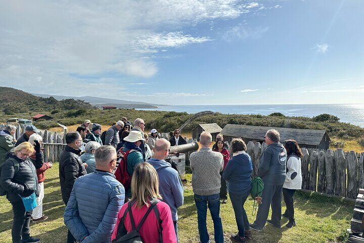 Fuerte Bulnes Shore Tour for Cruisers in Punta Arenas