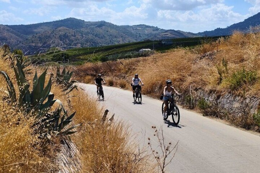 E-Bike Tour from Castellammare del Golfo to Segesta Temple