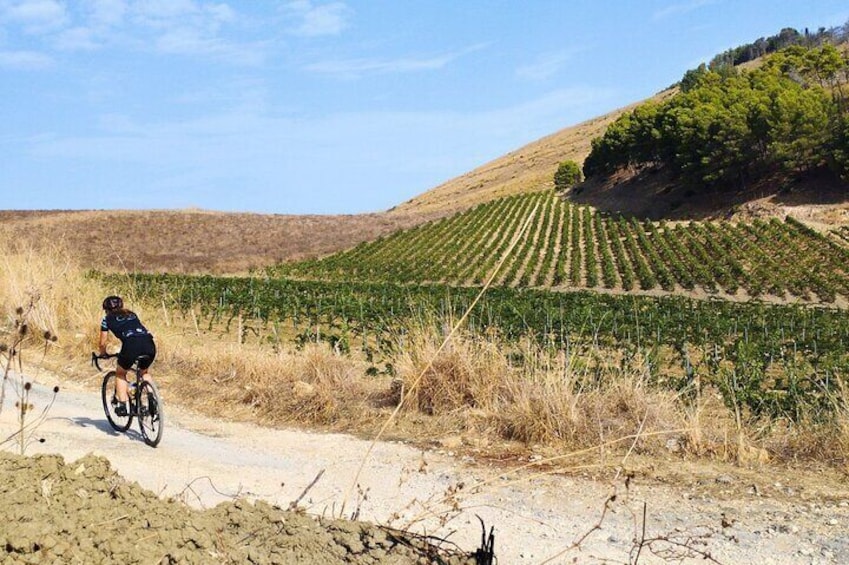 E-Bike Tour from Castellammare del Golfo to Segesta Temple