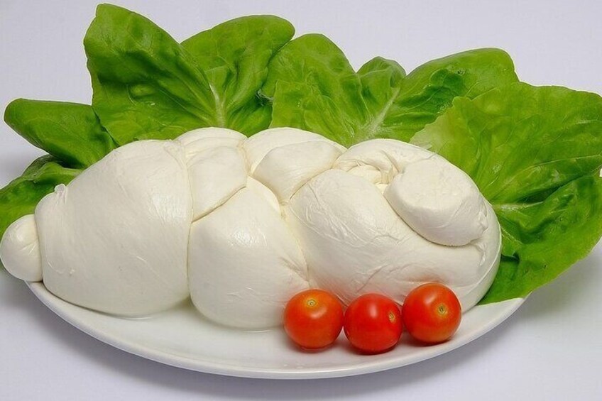 Lemon Olive Oil and Mozzarella in Sorrento Coast