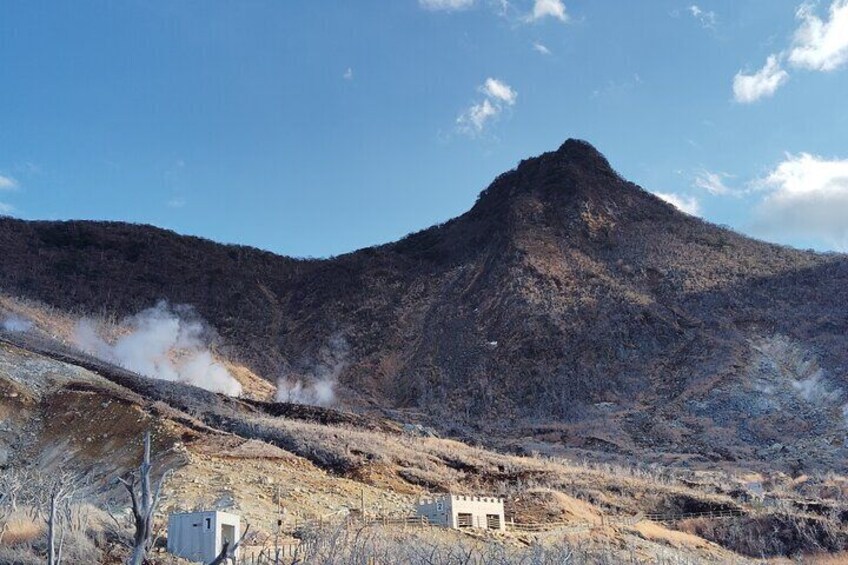 Hakone Scenic Adventure Nature and Tranquil Journey
