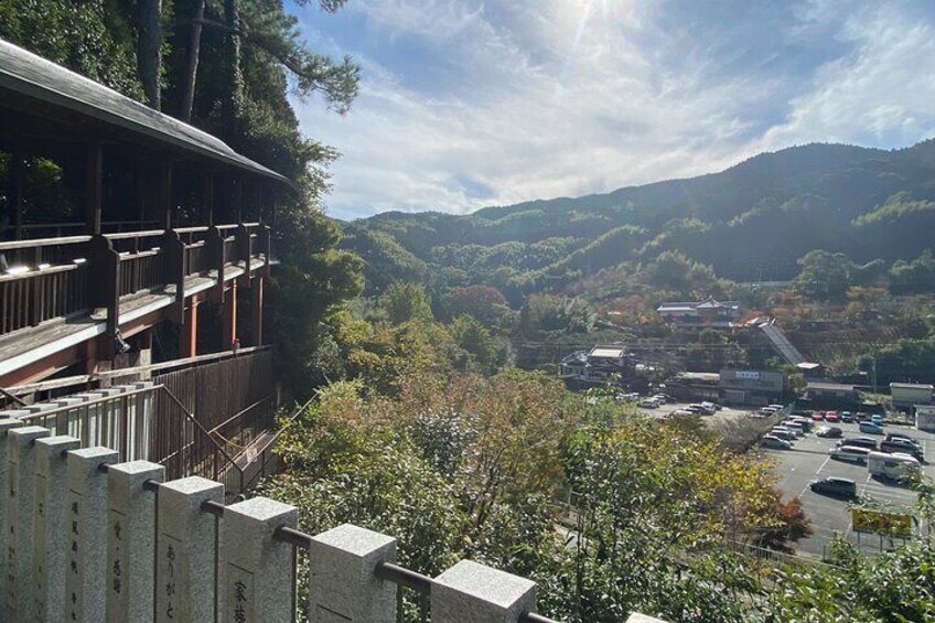 Exploring Hakata: Temples Shrines and Scenic Treasures