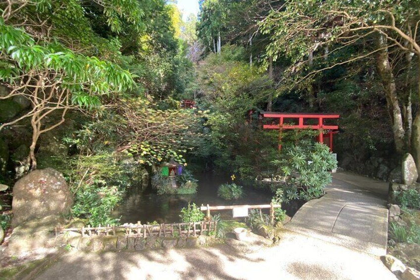 Exploring Hakata: Temples Shrines and Scenic Treasures