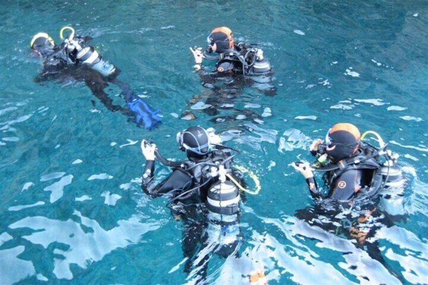 Alghero: Discovery Diving Lesson for Beginners