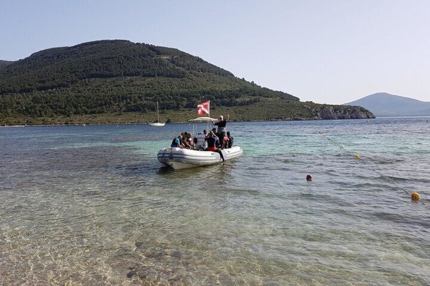Alghero: Discovery Diving Lesson for Beginners