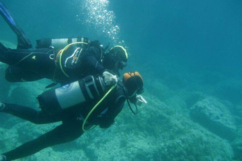 Alghero: Discovery Diving Lesson for Beginners
