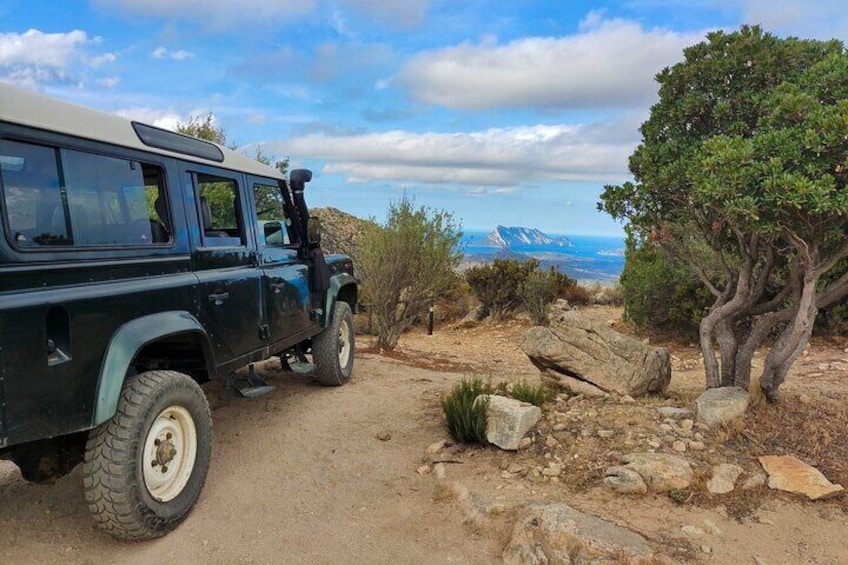 Explore the Scenic Jeep Tour from San Teodoro to Rio Pitrisconi