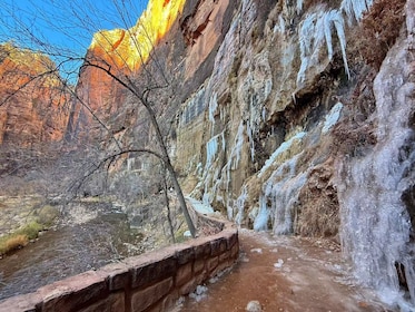 Small Group:Zion National Park In-Depth Hiking Tour from Vegas