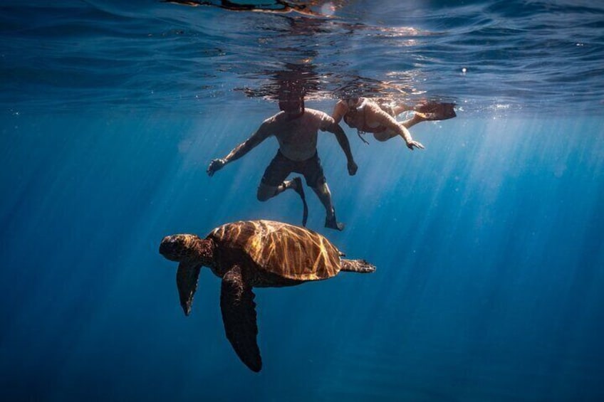 Underwater Photoshoot