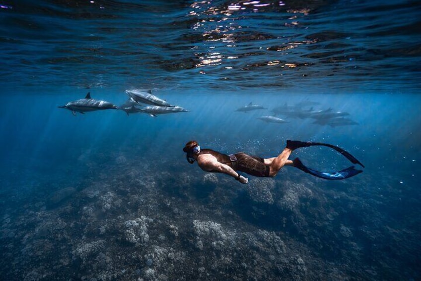 Underwater Photoshoot