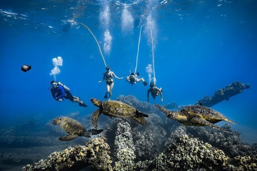 Underwater Photoshoot