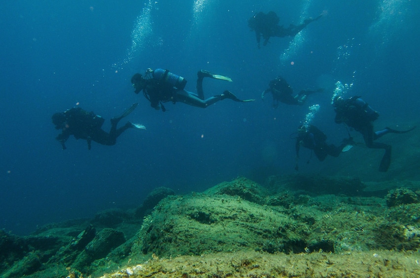 Show item 2 of 6. SCUBA divers underwater