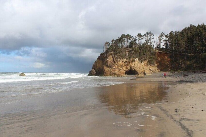 Oregon Coast Scenic Day Tour