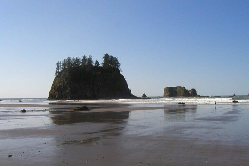 Oregon Coast Scenic Day Tour