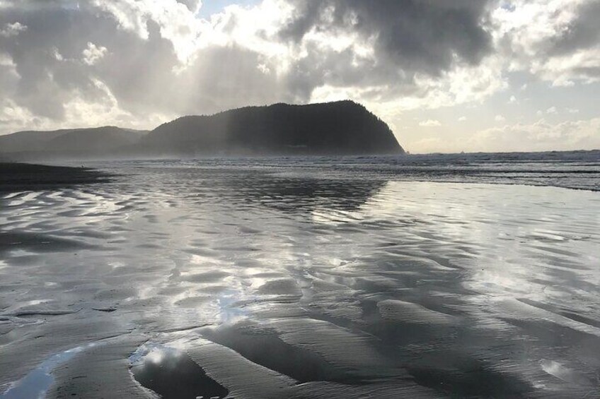 Oregon Coast Scenic Day Tour