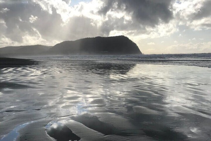Oregon Coast Scenic Day Tour