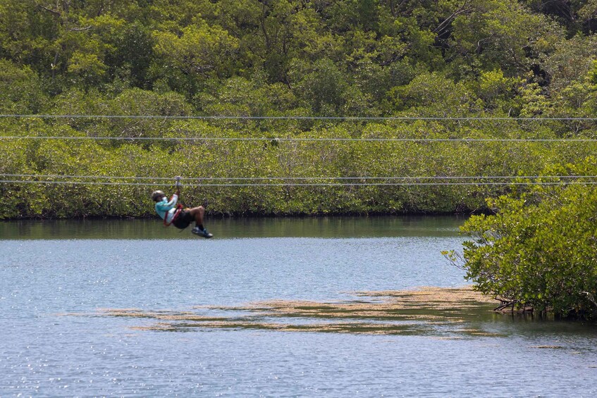 Picture 2 for Activity Extreme Zip Line Adventure at Mahogany bay