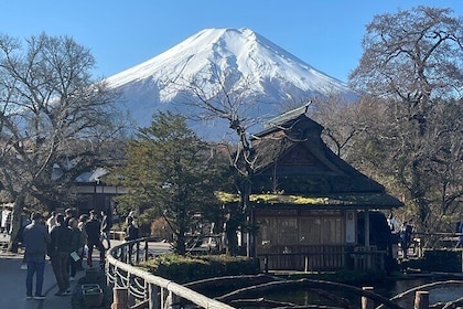 Mount Fuji Full Day Customize Private Tour with English Guide