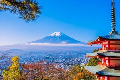 Mount Fuji Full Day Customise Private Tour with English Guide