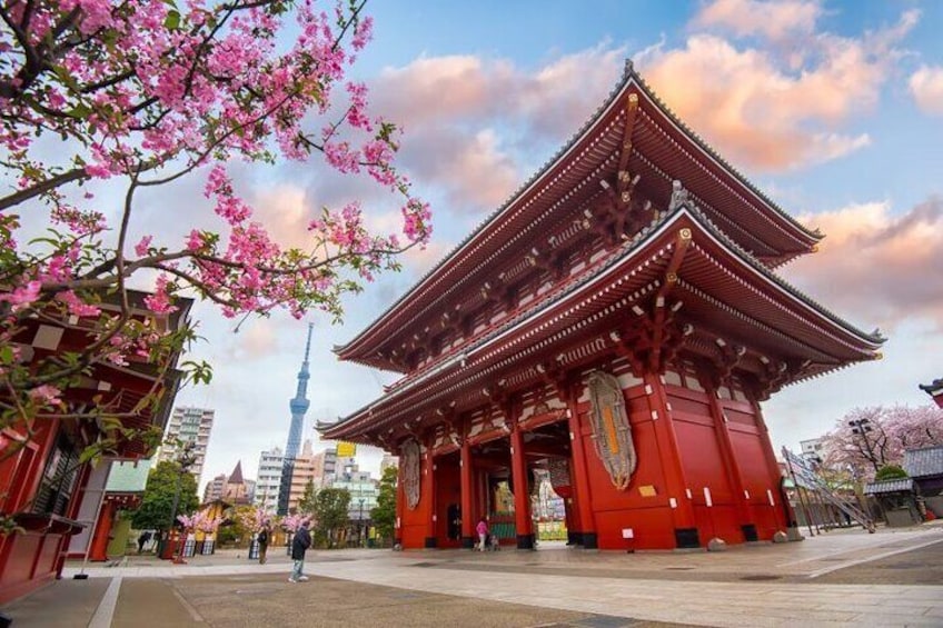 Tokyo Full Day Customize Private City Tour
