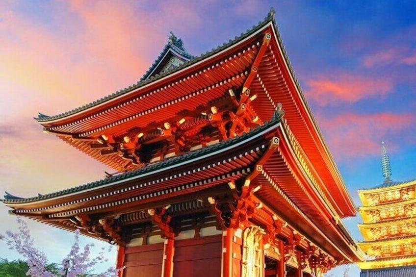 Tokyo Full Day Customize Private City Tour