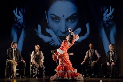 Biljett till Flamenco Show i Madrid Teater