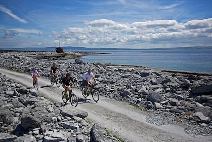Aran Islands Tour - Day Trip to Inis Oirr from Doolin