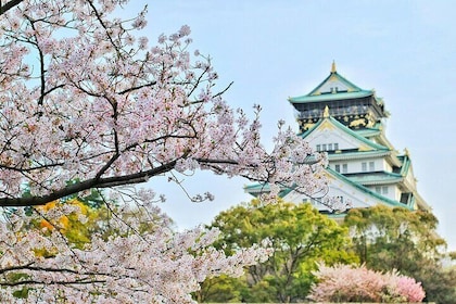 Osaka City Cherry Blossom Private Sightseeing Tour