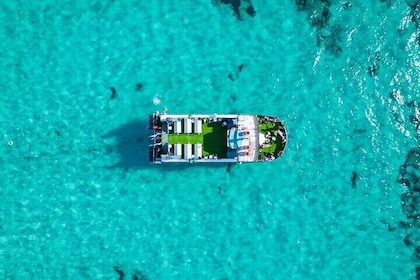 フォルメンテラ島へのクルーズ、ウォーターアクティビティ、ドリンク、食事